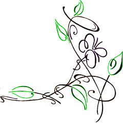 Debbie Sedgwick Celebrant